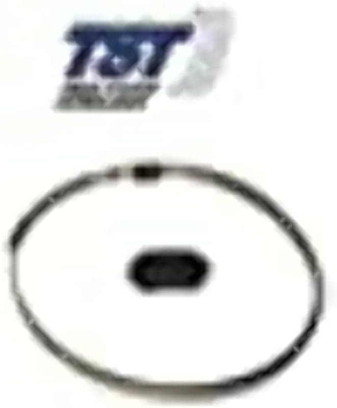 Truck System Technologies TST507INTS Internal TPMS Sensor – Strap-Mounted Tire Pressure Sensor for 507 Series Systems
