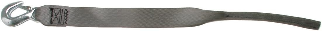 IMMI BoatBuckle F14214 Winch Strap with Tail End – 2in x 15ft Trailer Winch Replacement Strap