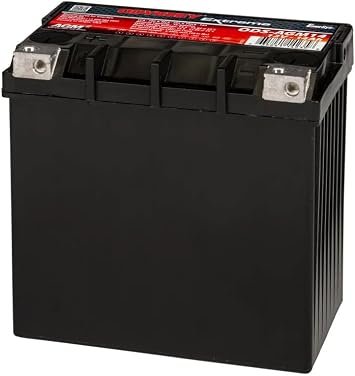 ODYSSEY ODS-AGM14 Powersports AGM Battery – Sealed Extreme Series Battery for Motorcycles, ATVs and Utility Vehicles