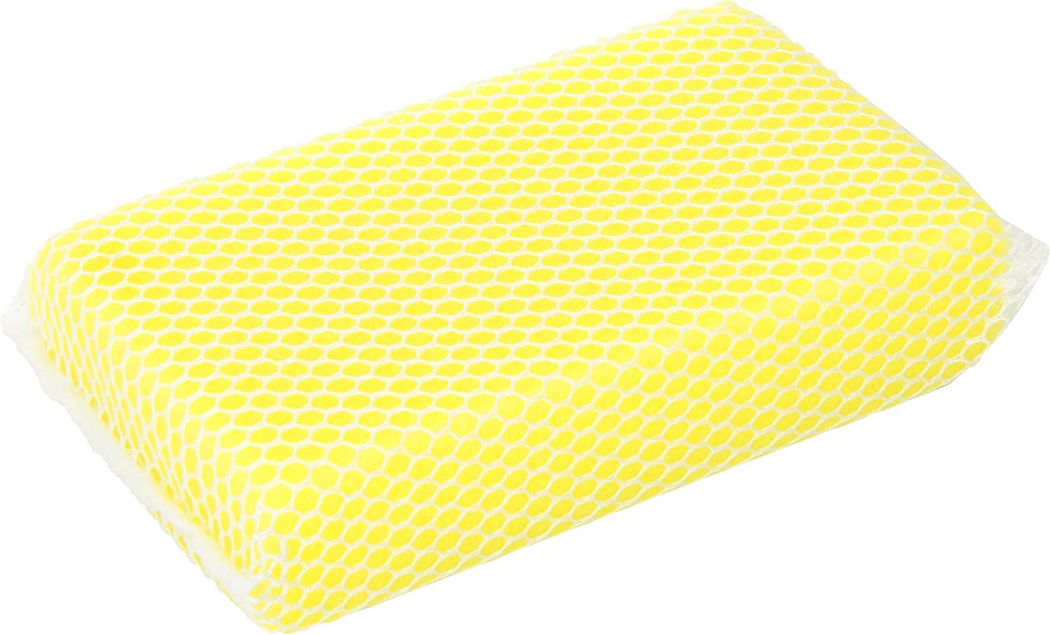 Carrand 40106 Nylon Bug Sponge – Heavy-Duty Mesh Bug Scrubber for Windshields, Grilles, Bumpers Insect Removal from Automotive Surfaces