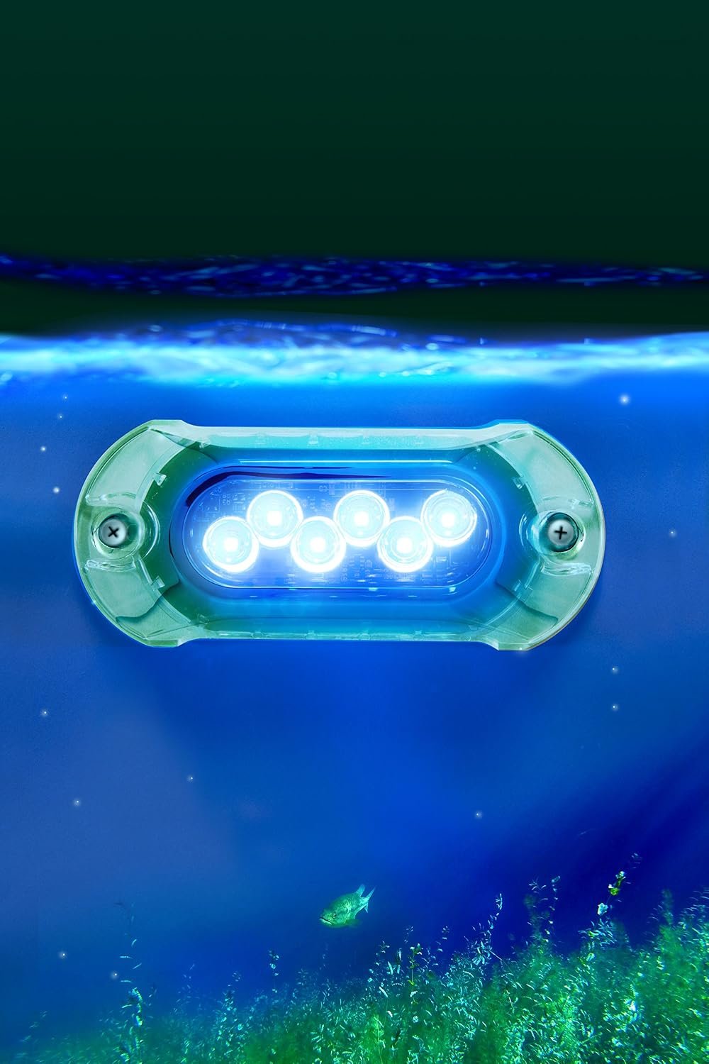 Attwood 65UW06B7 Blue Underwater LED Light – 6 LED Marine Fixture – 12/24V Surface Mount Design - Image 3